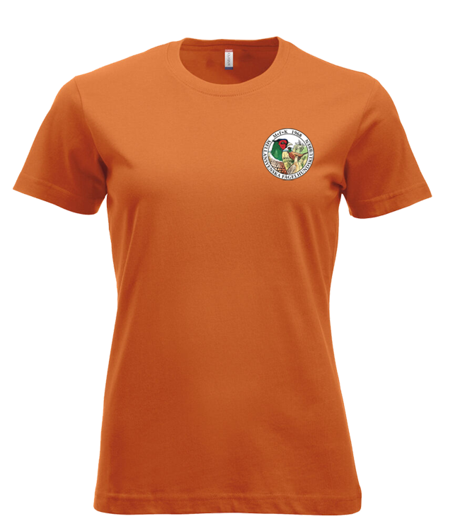 New Classic-T Dam