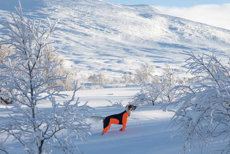 Non-stop Protector suit - Hane