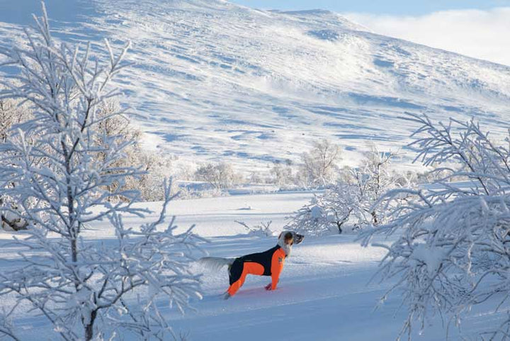 Non-stop Protector suit - Hane