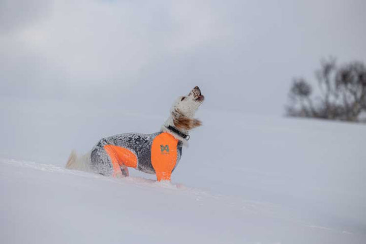 Non-stop Protector suit - Hane