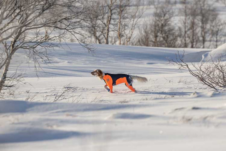 Non-stop Protector suit - Hane