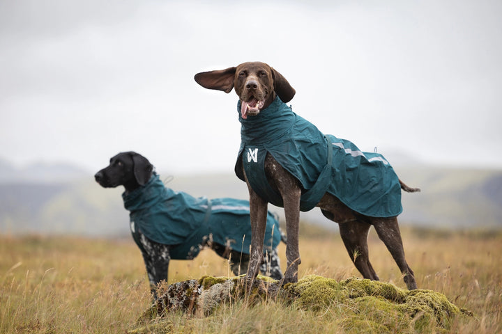 Fjord lined raincoat