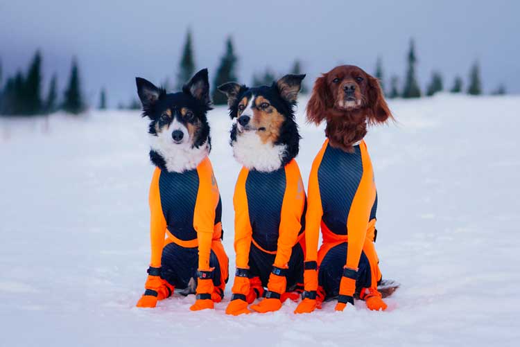 Non-stop Protector suit - Hane